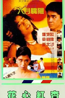 成年视频在线观看免费